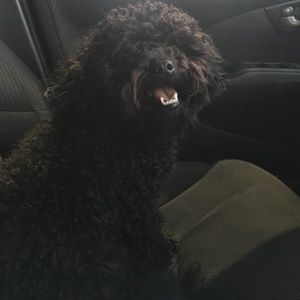 Meet your Posher, Mary